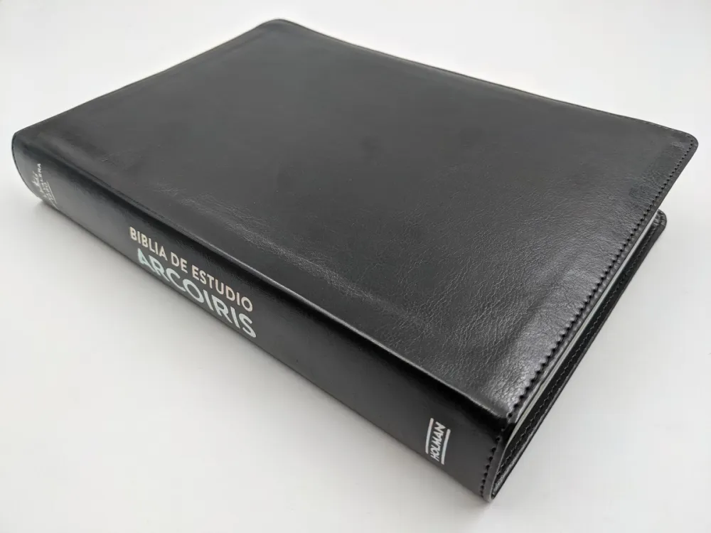 Spanisch, Bibel Reina Valera 1960, Kunstleder, Schwarz