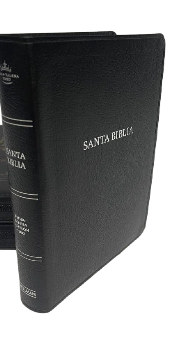 Spanisch, Reina Valera Bibel 1960, Santa Biblia, Silberschnitt, schwarz