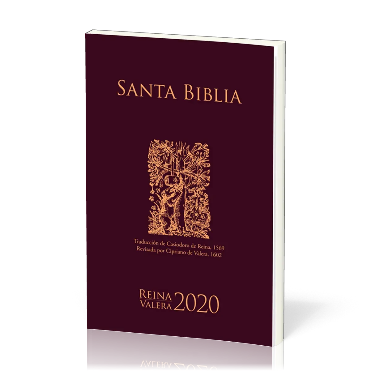 Spanisch, Bibel Reina Valera 2020, Evangelisationsbibel, broschiert, bordeaux