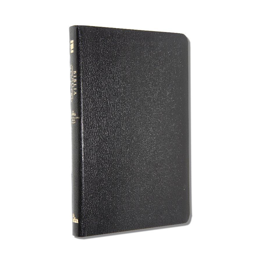 Spanisch, Bibel, Biblia del Ministro, Kunstleder