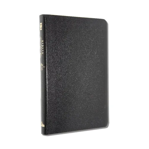 Spanisch, Bibel, Biblia del Ministro, Kunstleder