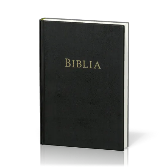 Rumänisch, Bibel, Traducerea GBV 2025, gebunden