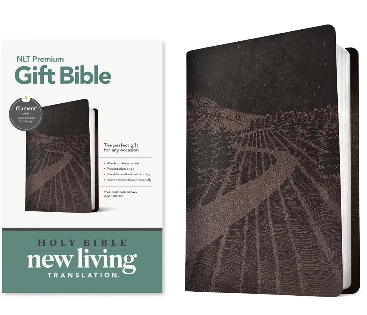 Anglais, Bible, New Living Translation, similicuir gris foncé, motif chemin, paroles de Jésus en...