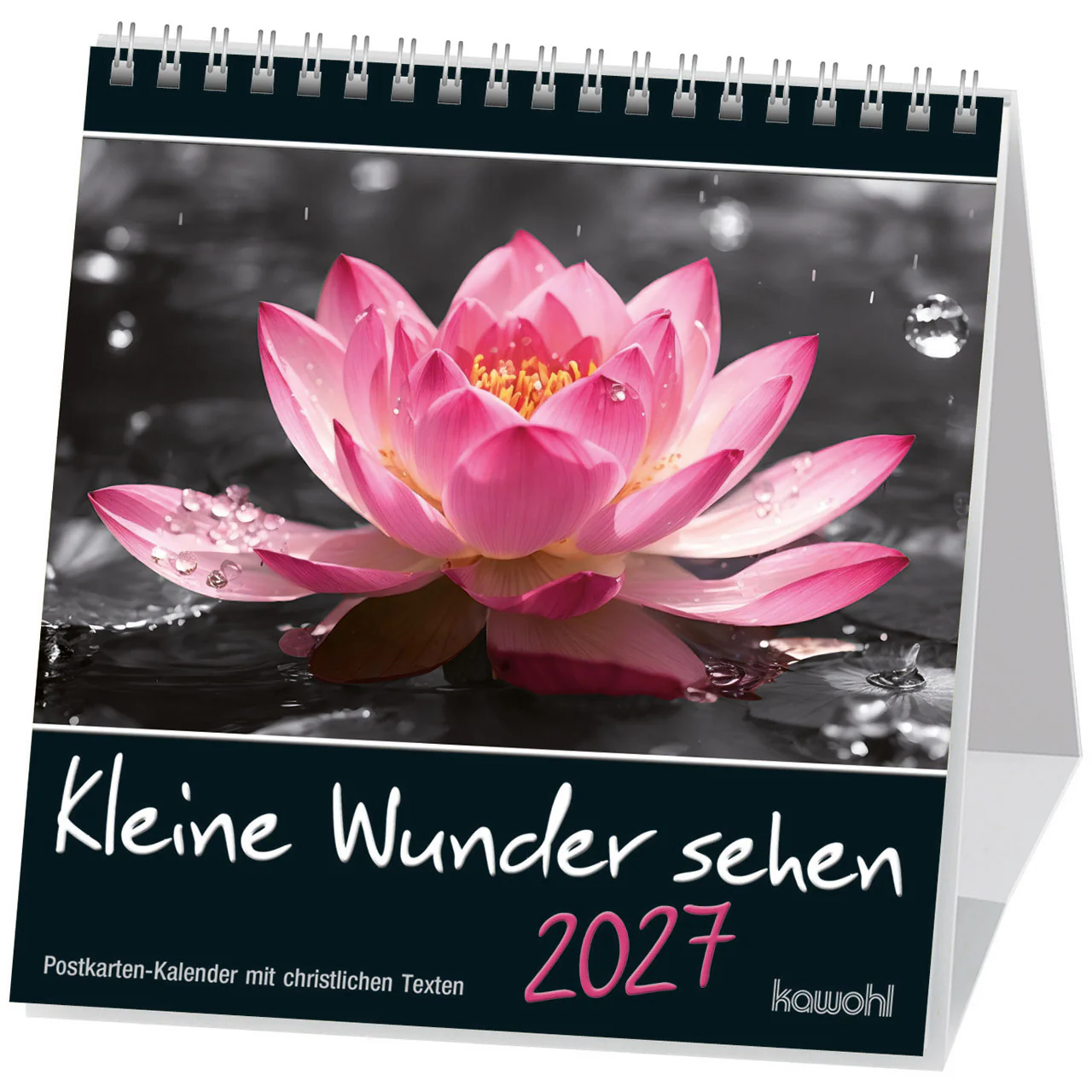 Kleine Wunder sehen - Postkartenkalender