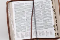 Luther 21 - F.C. Thompson Studienbibel - Kunstleder braun mit Löwenkopf, Reissverschluss,...