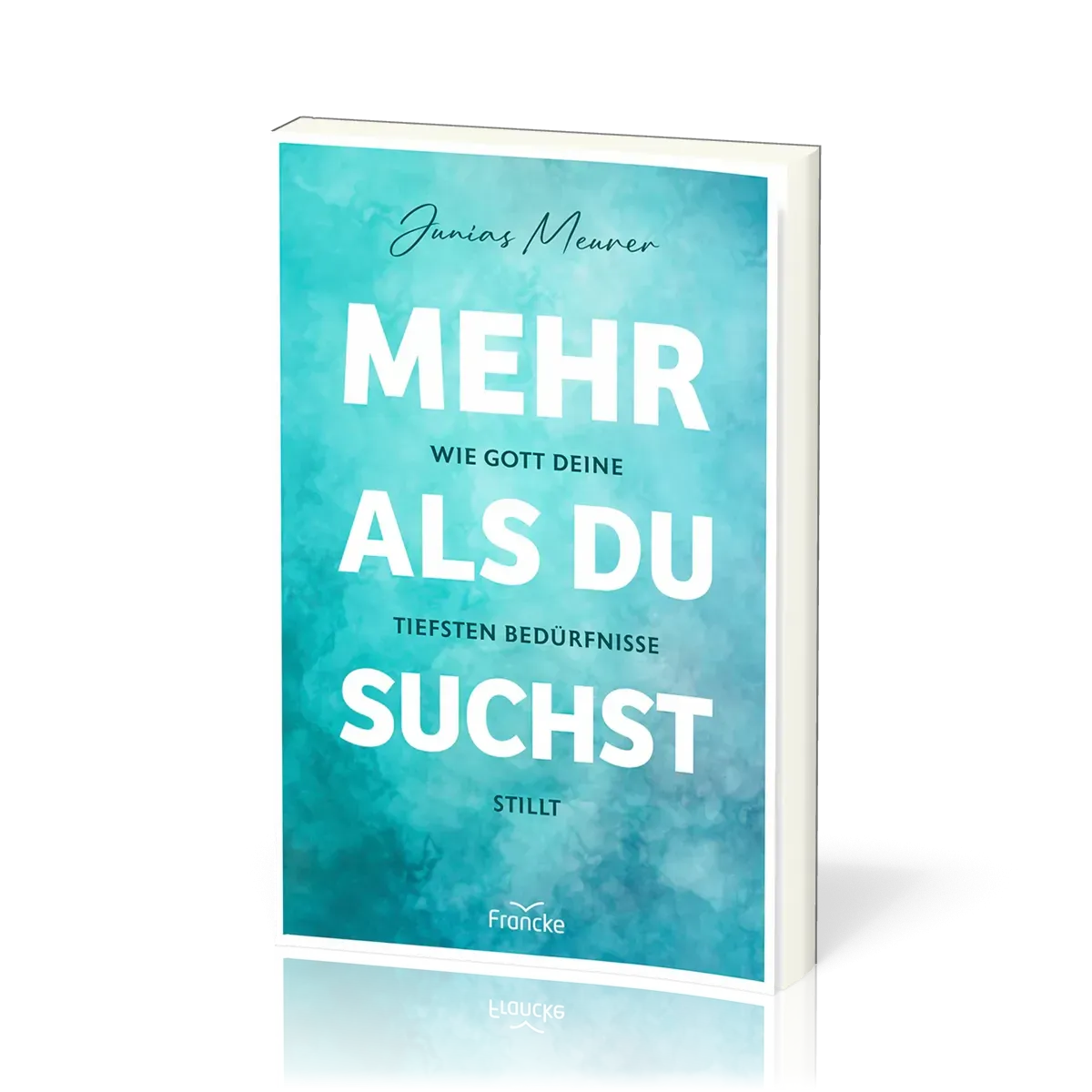 Mehr als du suchst - Wie Gott deine tiefsten Bedürfnisse stillt