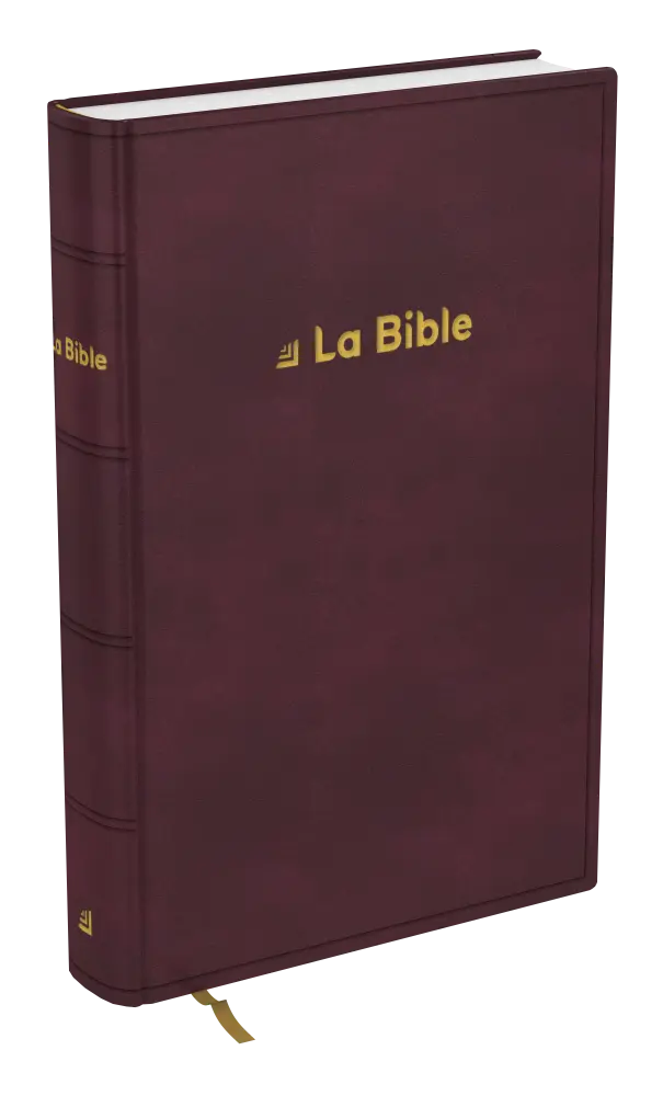 Bible Darby révisée format standard, rigide brun-rouge