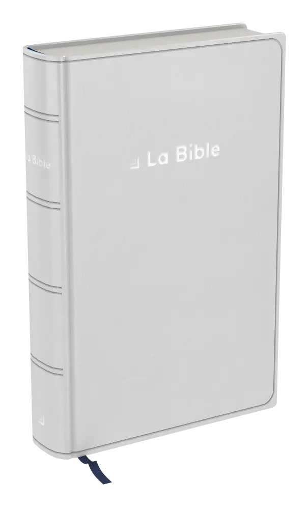 Bible Darby révisée format compact, souple gris, tranche argent