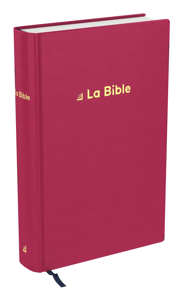 Bible Darby révisée format standard, rigide velours rouge framboise