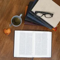 Bible Darby édition de Rolle, grand format, similicuir beige, souple