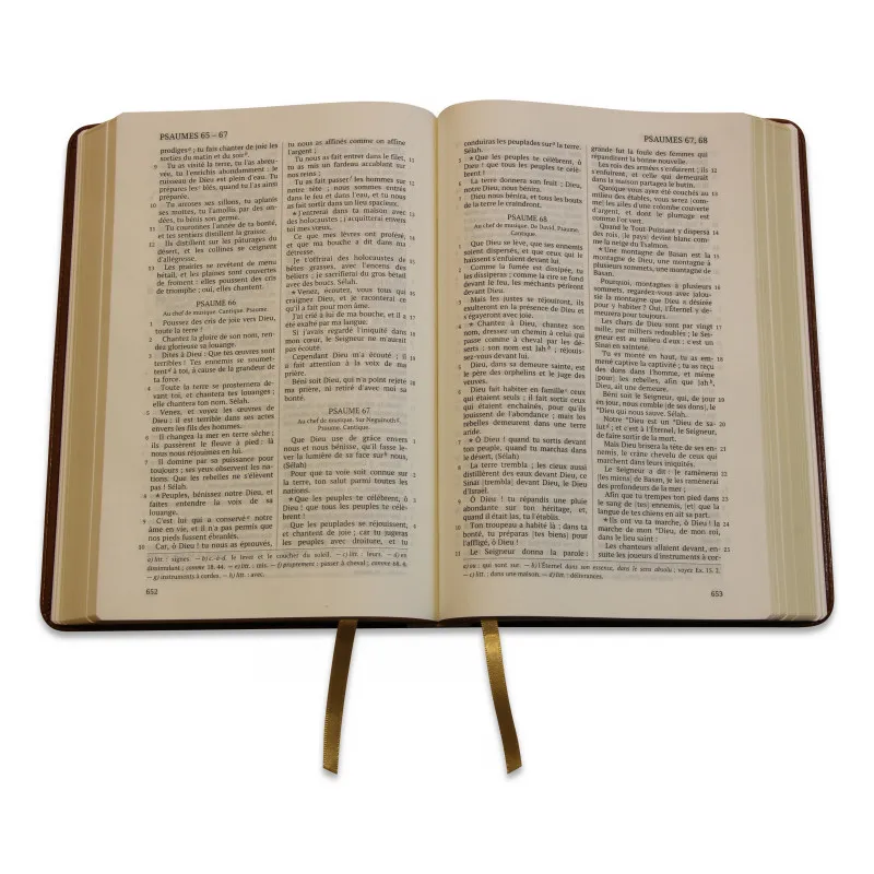 Bible Darby édition de Rolle, grand format, similicuir bicolore brun/beige, souple, tranche dorée