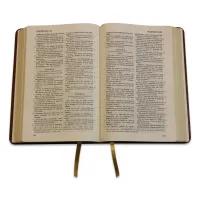 Bible Darby édition de Rolle, grand format, similicuir bicolore brun/beige, souple, tranche dorée