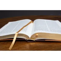 Bible Darby édition de Rolle, grand format, similicuir bicolore brun/beige, souple, tranche dorée