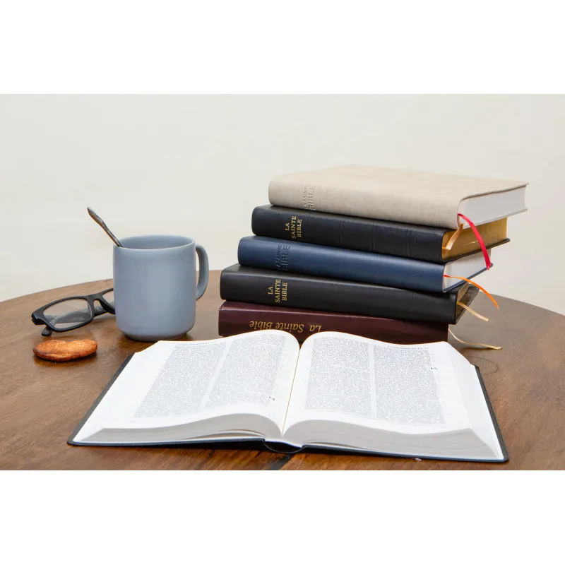 Bible Darby édition de Rolle, grand format, similicuir bicolore brun/beige, souple, tranche dorée