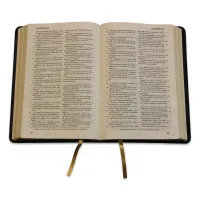 Bible Darby édition de Rolle, grand format, cuir noir sans rebord, souple, tranche dorée