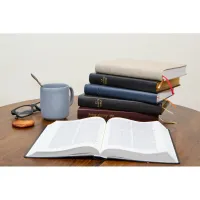 Bible Darby édition de Rolle, grand format, cuir noir sans rebord, souple, tranche dorée