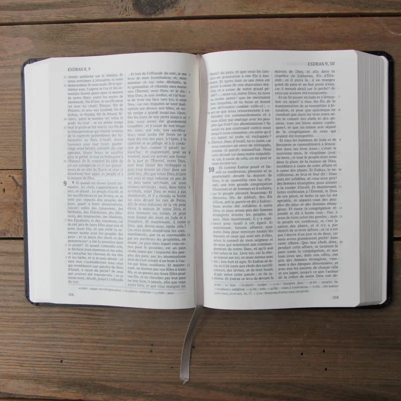 Bible Darby édition de Rolle, format moyen, similicuir noir, semi-rigide