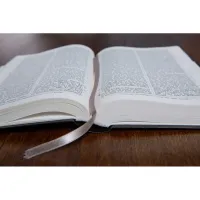 Bible Darby édition de Rolle, format moyen, similicuir noir, semi-rigide
