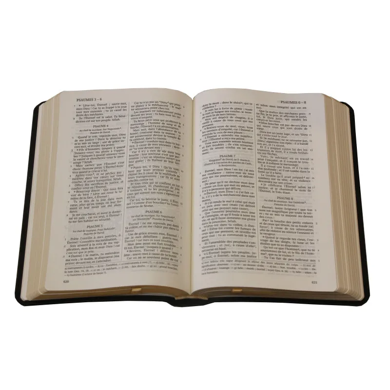 Bible Darby édition de Rolle, format moyen, cuir noir sans rebord, souple, tranche or