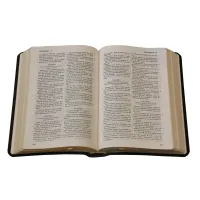 Bible Darby édition de Rolle, format moyen, cuir noir sans rebord, souple, tranche or