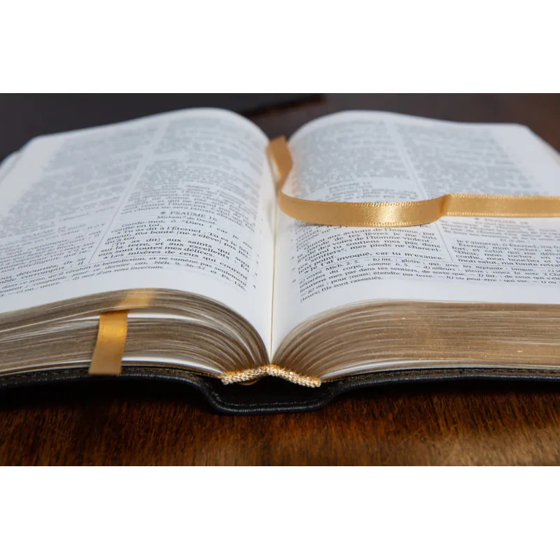 Bible Darby édition de Rolle, format moyen, cuir noir sans rebord, souple, tranche or
