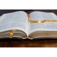 Bible Darby édition de Rolle, format moyen, cuir noir sans rebord, souple, tranche or