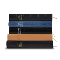 Bible Darby édition de Rolle, format moyen, cuir noir sans rebord, souple, tranche or