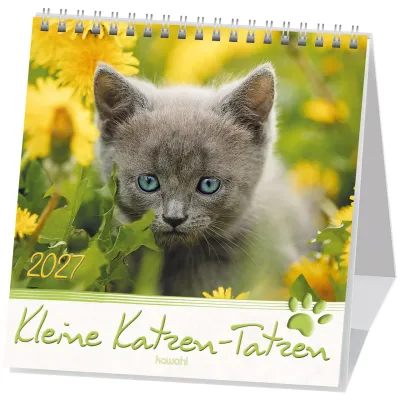 Kleine Katzen-Tatzen - Postkartenkalender