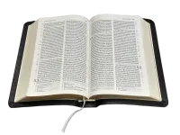 Bible Darby, format compact, cuir véritable noir, avec boîtier