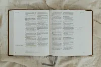 Sconi Bibel "Garten" Leinenbibel mit Schreibrand