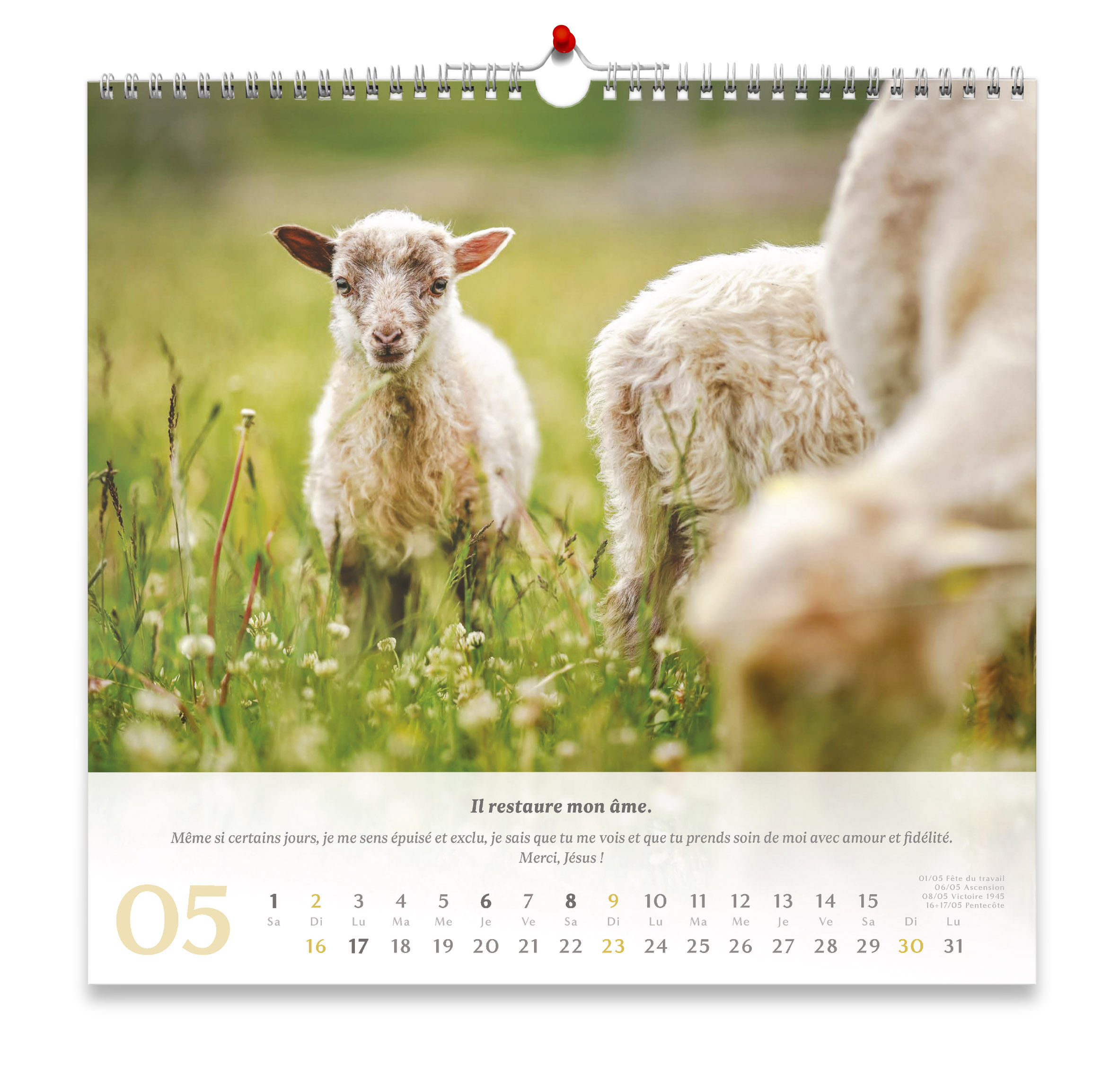 Psaume 23 - Grand format - calendrier mural