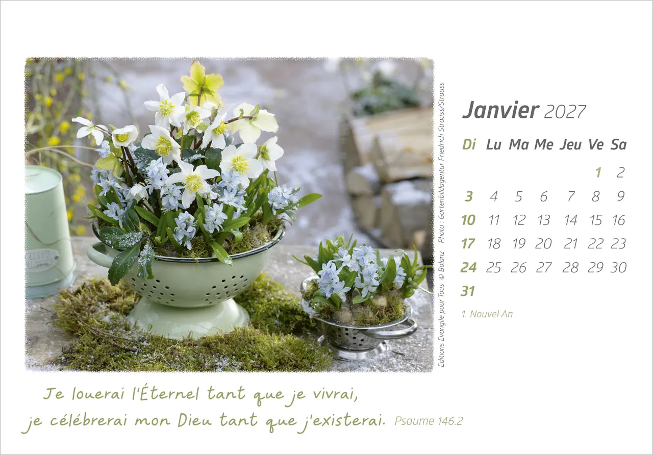 Délices - Calendrier de table