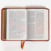 Anglais, Bible, New American Standard Bible, compacte, similicuir souple brun, caractères...