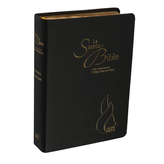 BIBEL NEG MACARTHUR, BIEGSAMES LEDER, GOLDSCHNITT, GRIFFREGISTER, SCHWARZ (MIT SCHACHTEL)