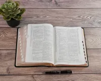 BIBEL NEG, SCOFIELD, FIBROLEDER SCHWARZ, GRIFFREGISTER, GOLDSCHN.