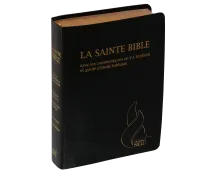 BIBEL NEG, SCOFIELD, FIBROLEDER SCHWARZ, GRIFFREGISTER, GOLDSCHN.