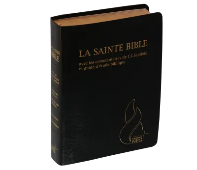BIBEL NEG, SCOFIELD, FIBROLEDER SCHWARZ, GRIFFREGISTER, GOLDSCHN.