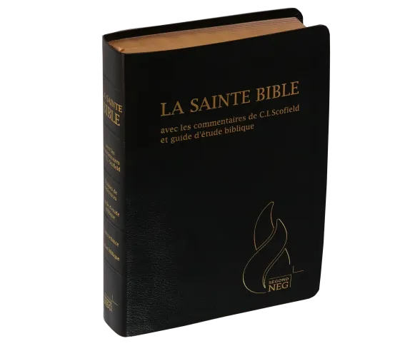 BIBEL NEG, SCOFIELD, FIBROLEDER SCHWARZ, GRIFFREGISTER, GOLDSCHN.