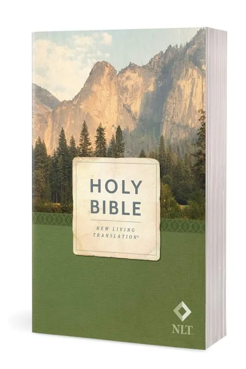 Anglais, Bible, New Living Translation, brochée, motif montagnes - Holy Bible, Economy Outreach...