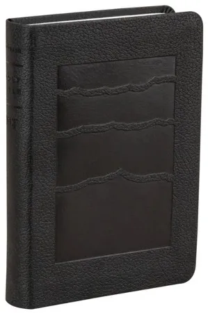 Englisch, Bibel New Living Translation, kompakt, Kunstleder, grau