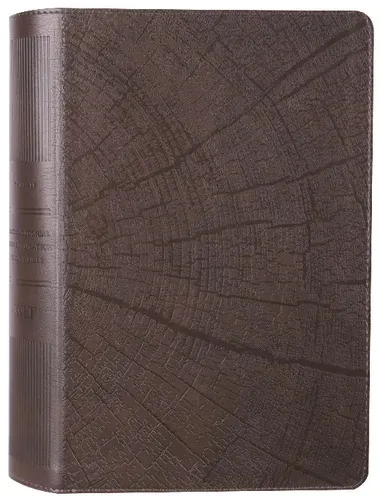 Anglais, Bible, New Living Translation, Chronological Life Application Study Bible Second...