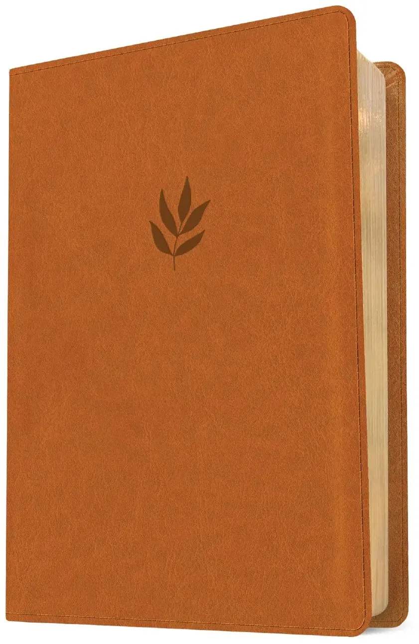Anglais, Bible, New Living Translation, très gros caractères, similicuir brun, paroles de Jésus...