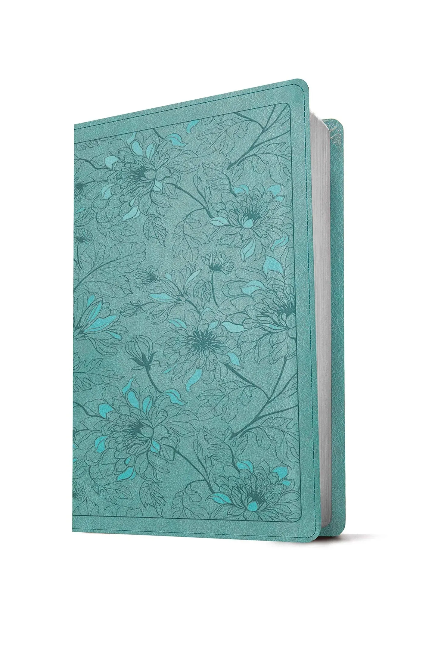 Anglais, Bible, New Living Translation, Thinline Reference Bible, Filament Enabled - NLT Bible...