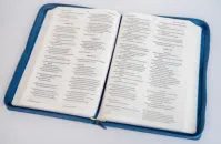 Englisch, Bibel New International Version, Grossdruck, blauer Einband mit Blumen, Reissverschluss