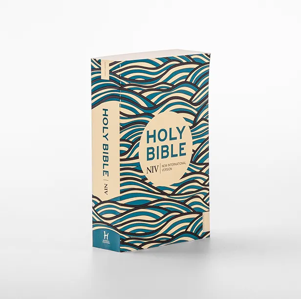 Englisch, Bibel New International Version, broschiert, illustrierter Einband