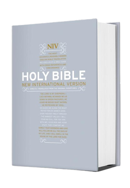 Englisch, Referenzbibel New International Version, grau