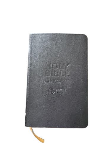 Anglais, Bible, New International Version, caractères agrandis, similicuir souple noir - NIV...