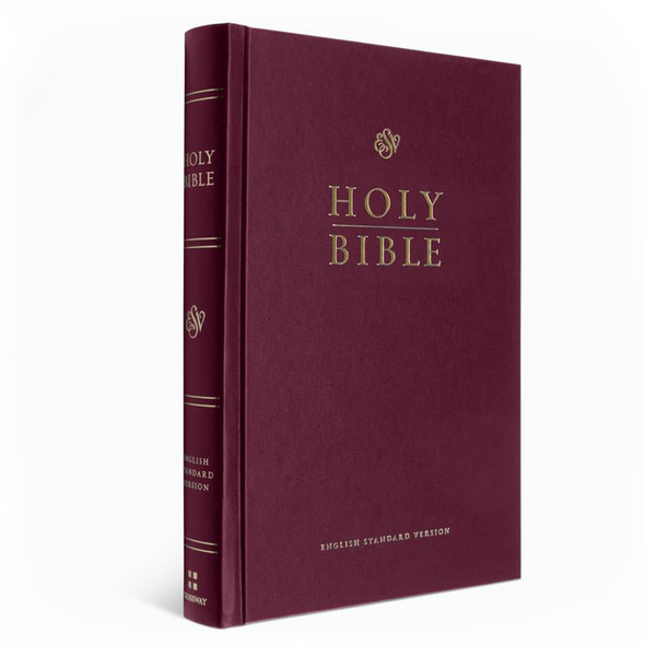 Englisch, Bibel New International Version - kartonniert burgunder