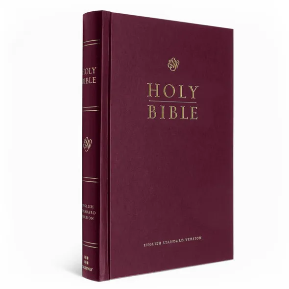 Englisch, Bibel New International Version - kartonniert burgunder