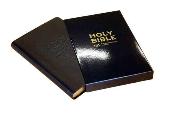 Englisch, Bibel New International Version, Thinline, Leder, schwarz, Goldschnitt